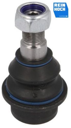 Reinhoch rh03 0020 - reinhoch, rh03-0020